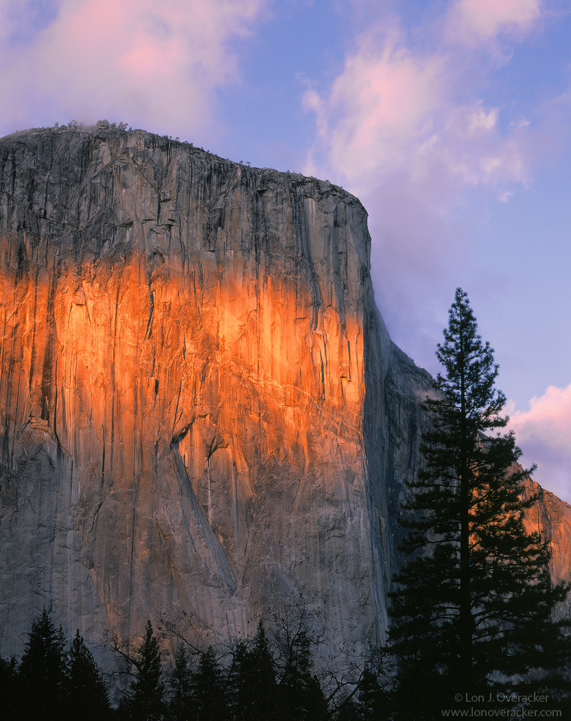 Yosemite Chronicles #3
