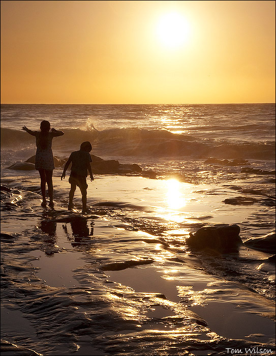 Joy and Wonder