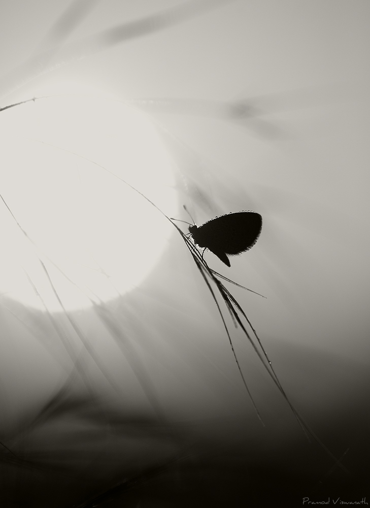 Waiting for light