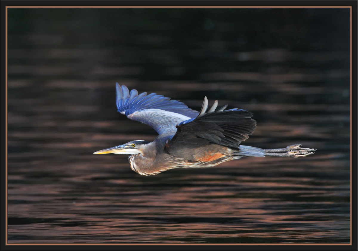 GBH