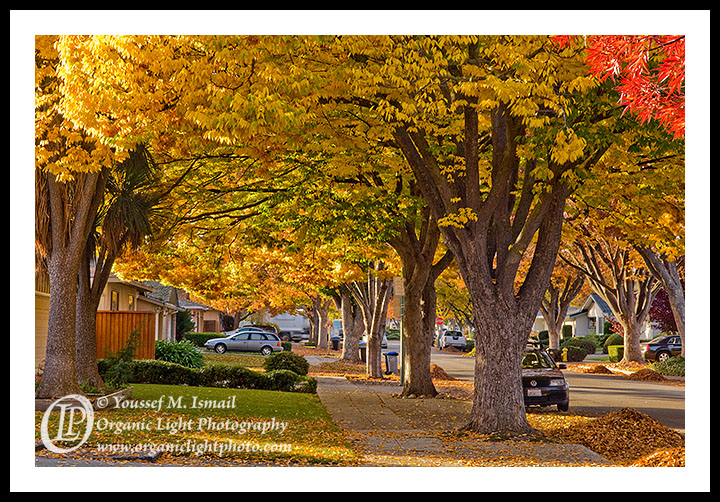 Mostly Man #2