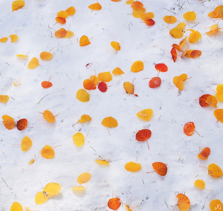 Seasonal Mix