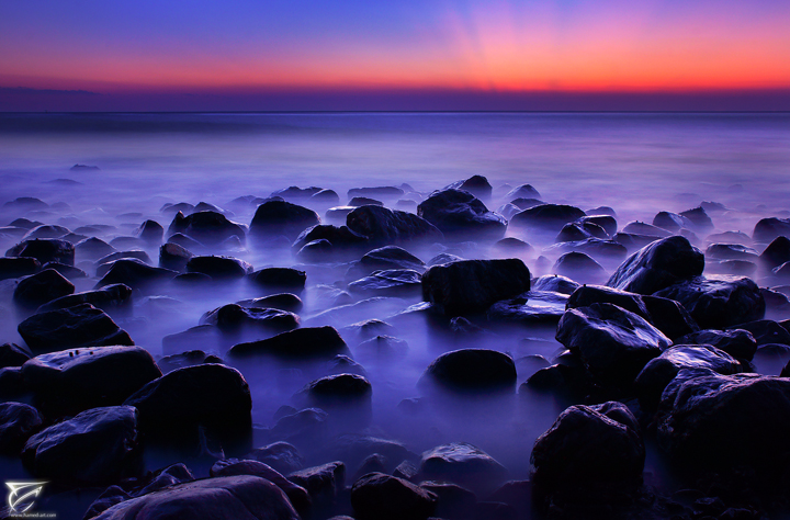 Charm Dawn