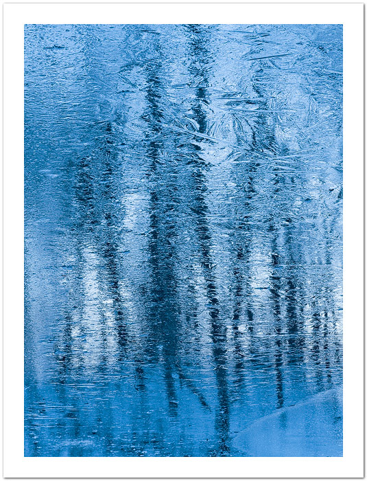 Frozen Halls