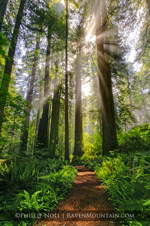 A Spiritual Path