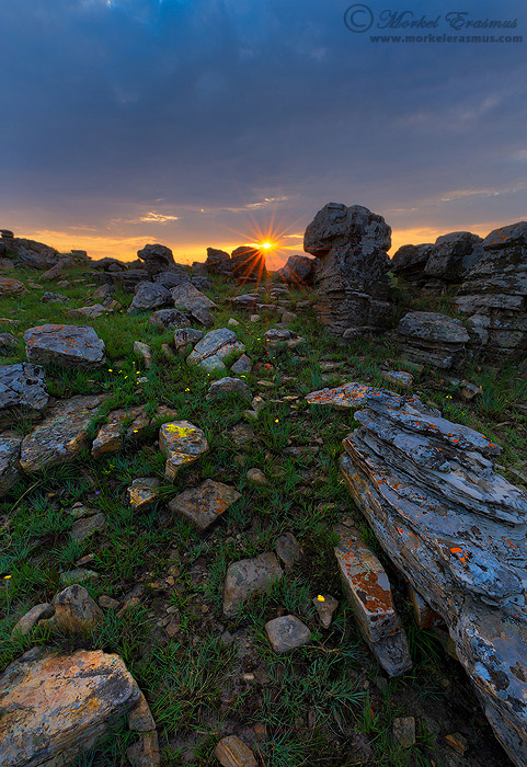 The Sunset Rocks