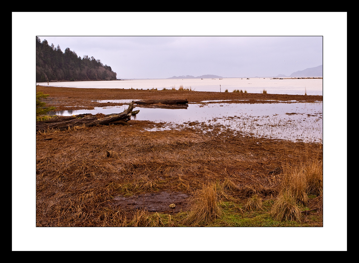 Tillamook Bay  2008