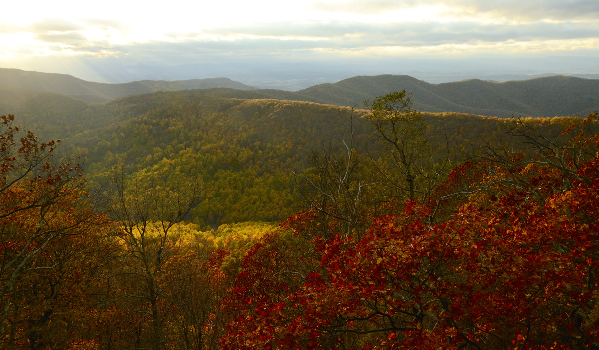 Ridge Top