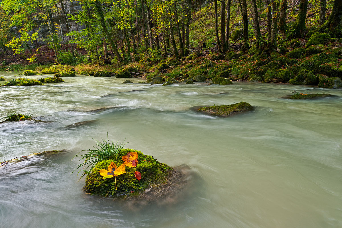 Gorge de l'Orbe 2