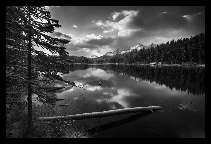 Herbert Lake bw