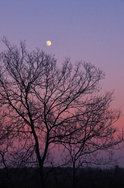 Rural Moonrise