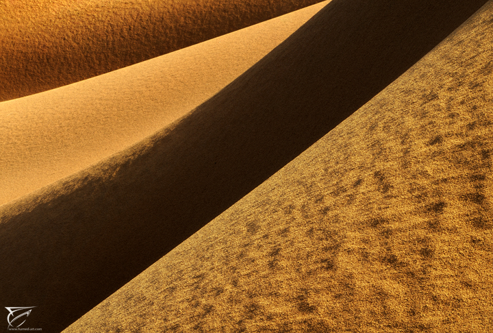 The Abstraction 