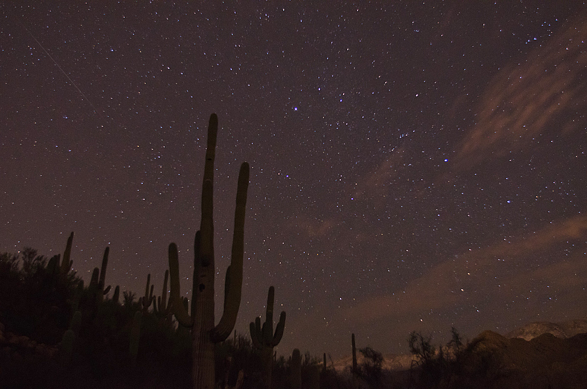 Geminid Meteor 