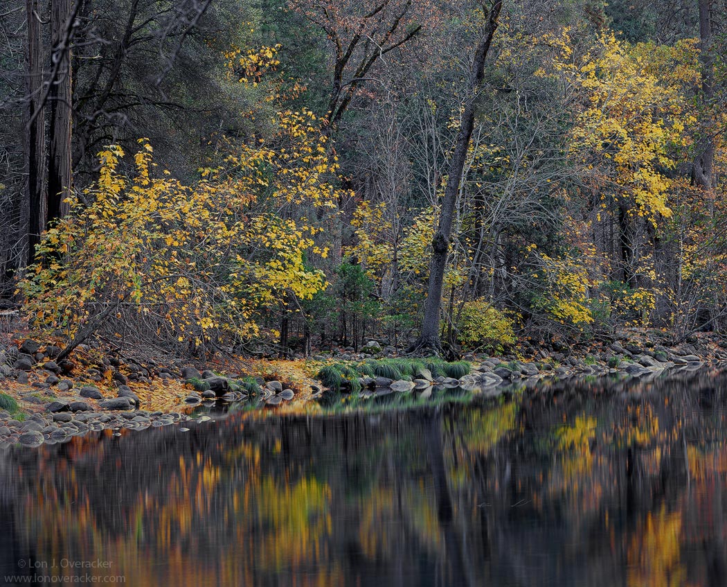 Yosemite Chronicles #10