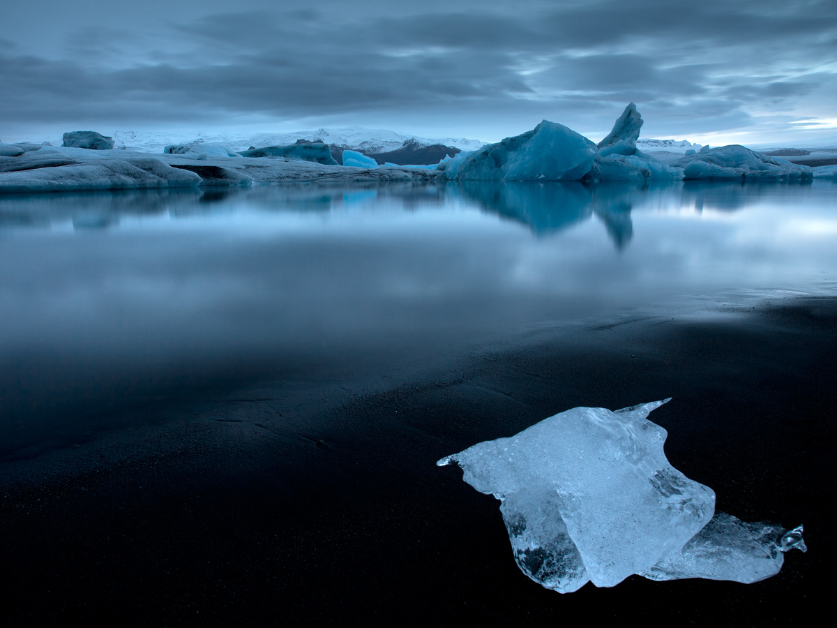 Seashell of Ice