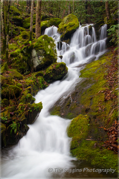 Unnamed Falls in GSMNP