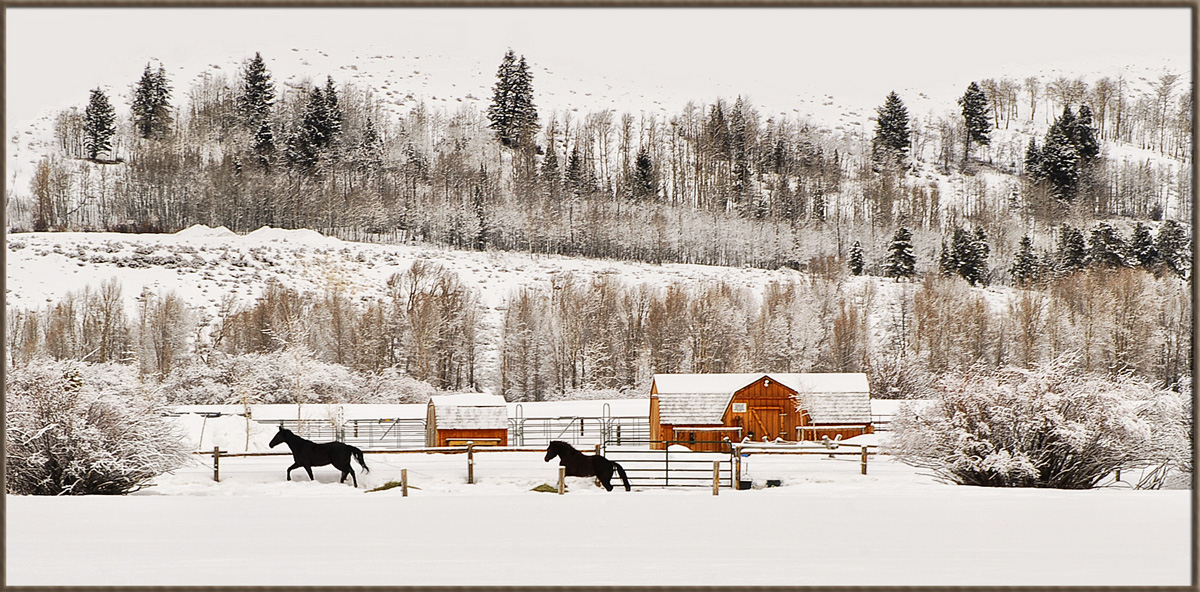 Wyoming Ranch