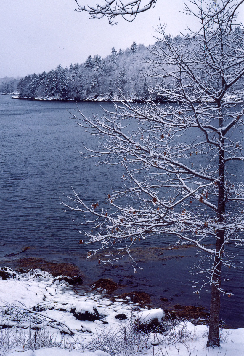 A Winter's Day + Repost