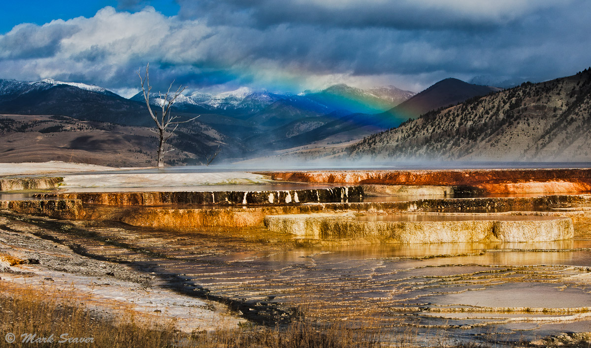 Rainbow in the Mist