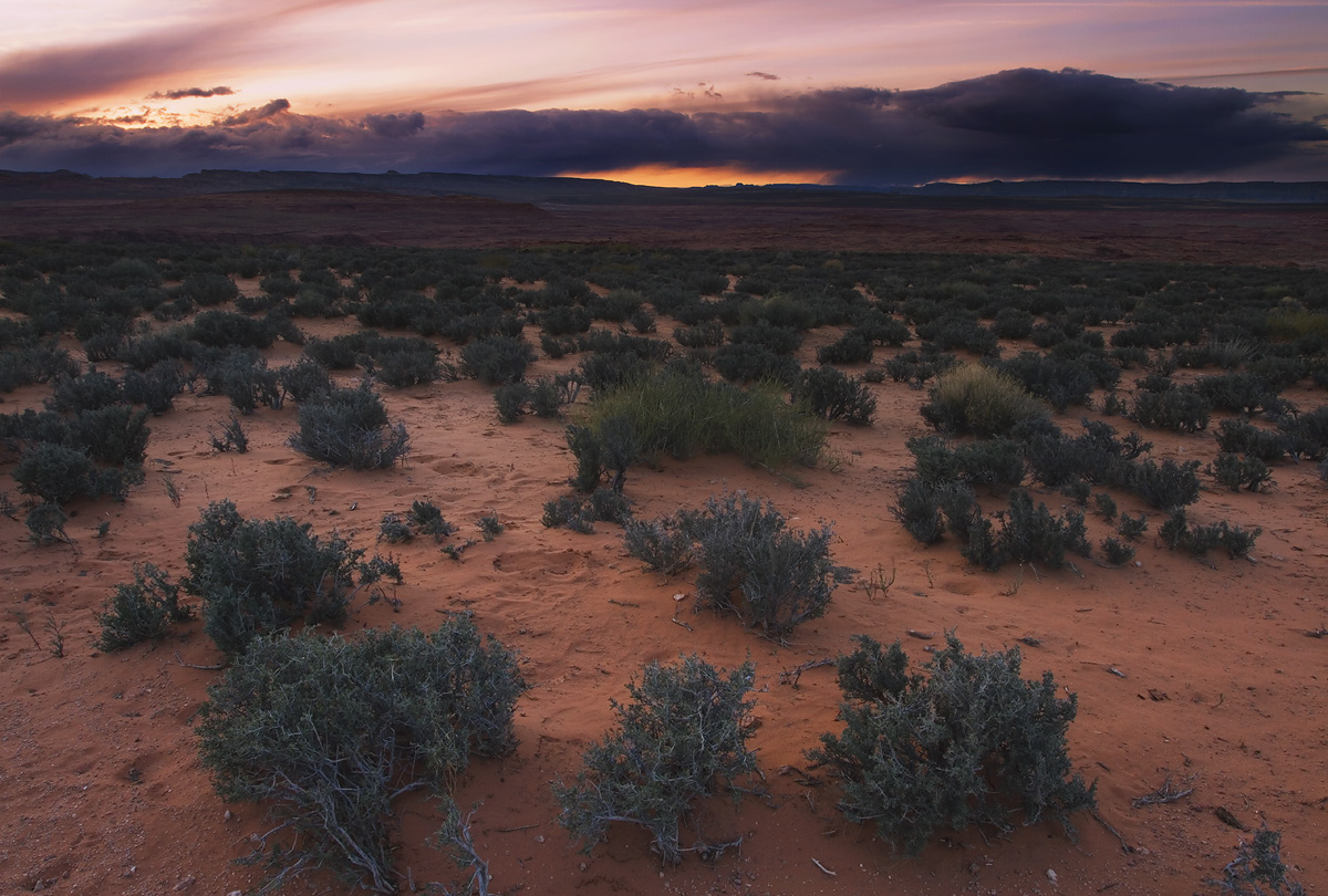 Desert storm
