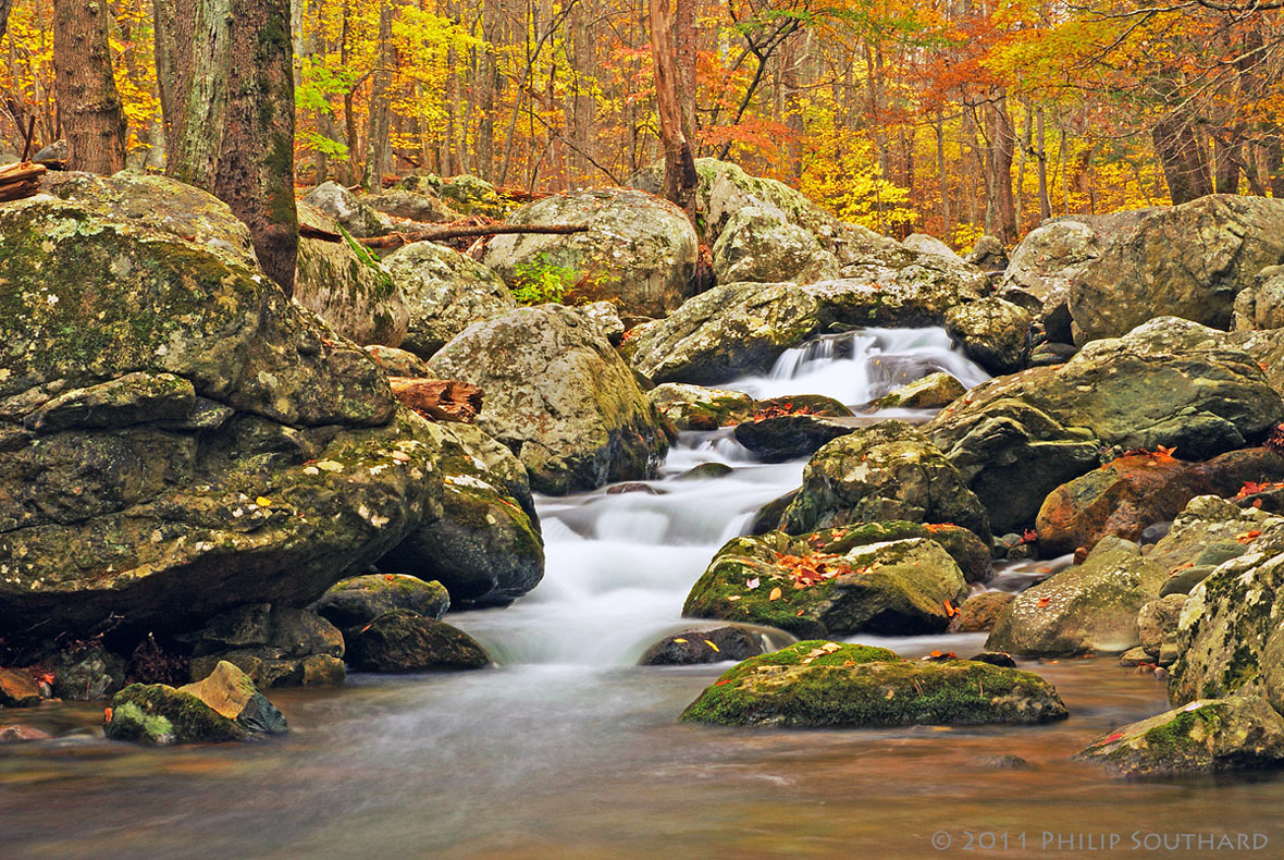 Rose River