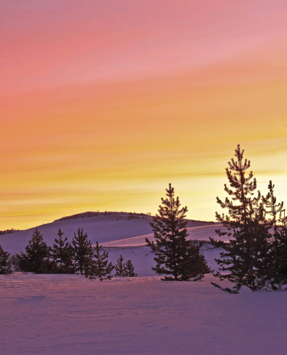 Mountain Morning