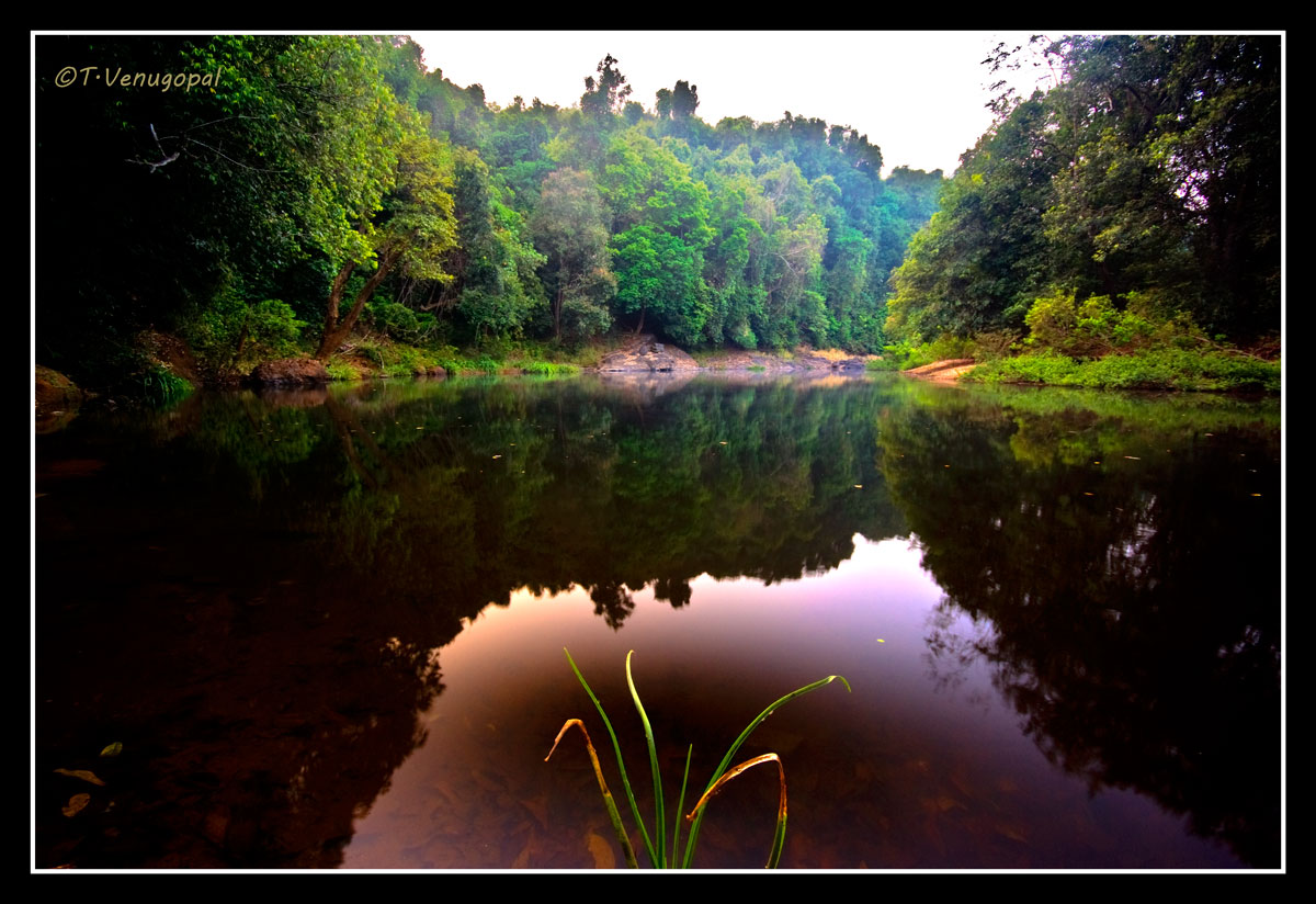 River turn