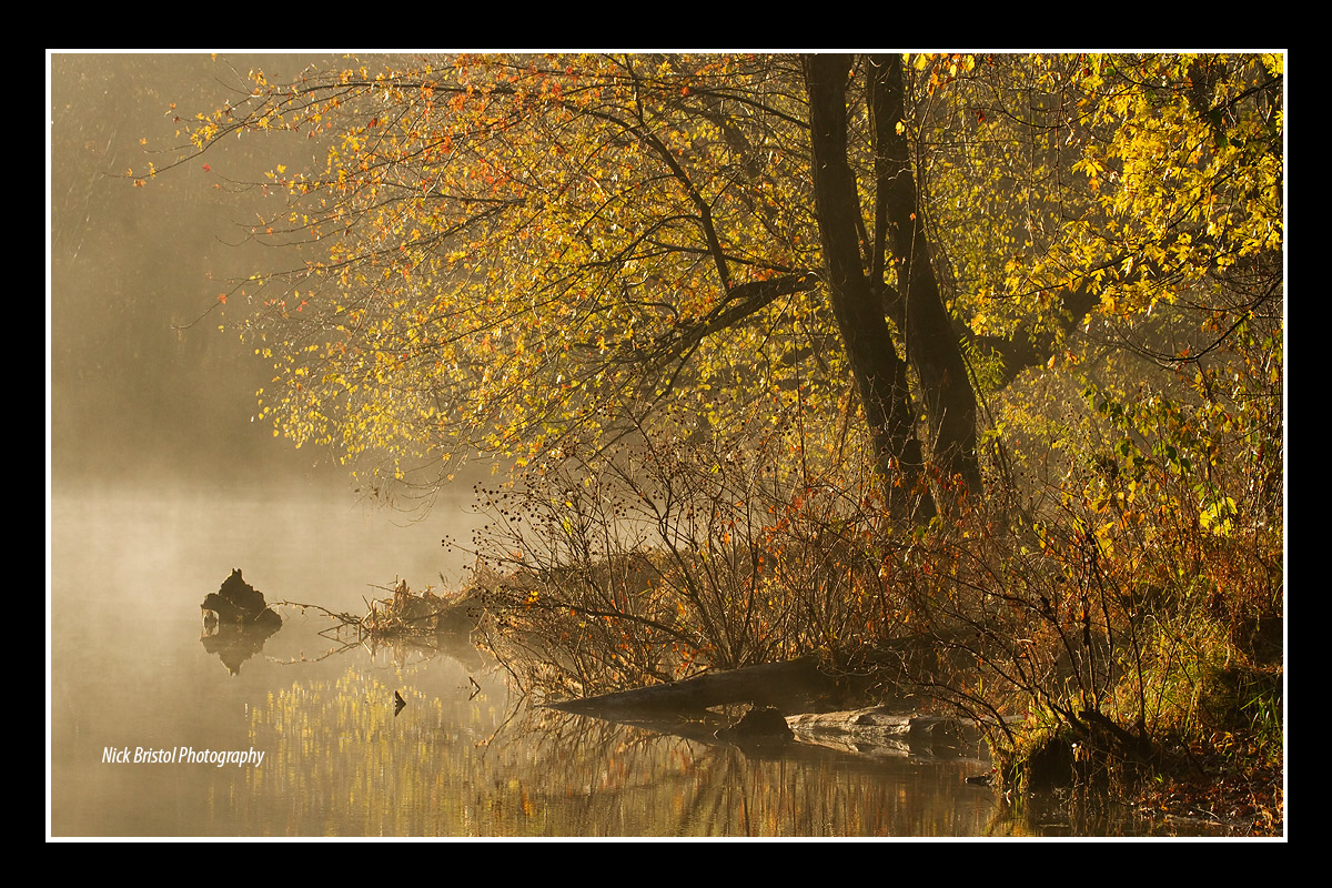Early Light and Fog