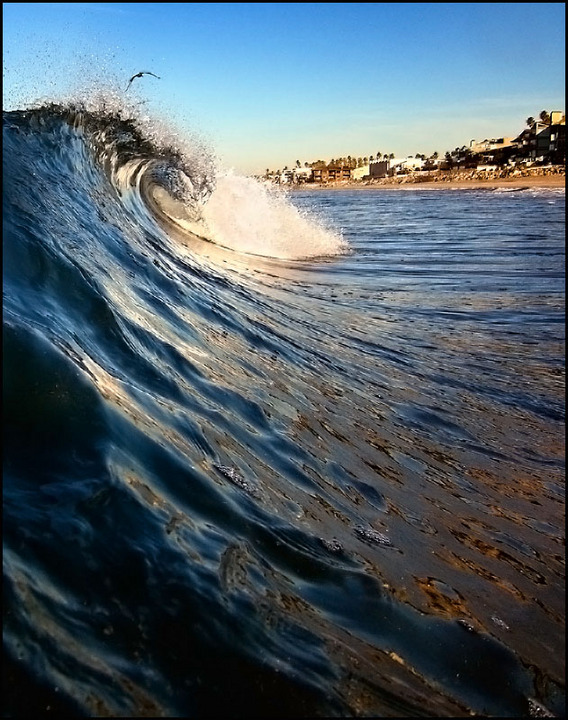 Vortex