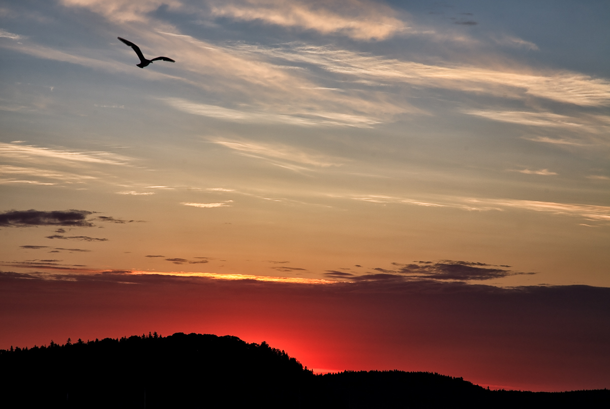 Cranberry Sunrise