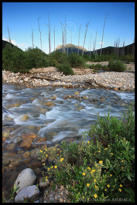 Colorado Vibrance