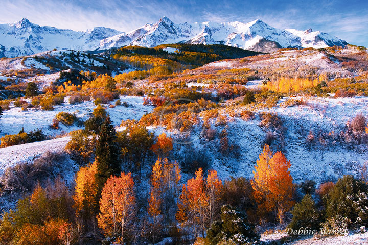 Seasons in Transition