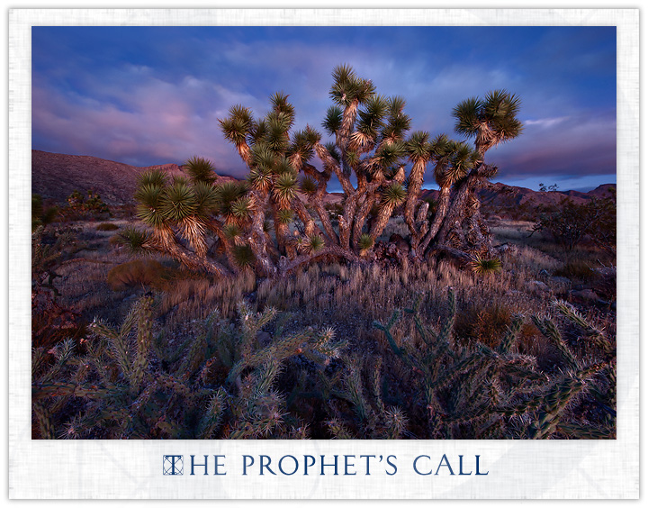 The Prophet's Call