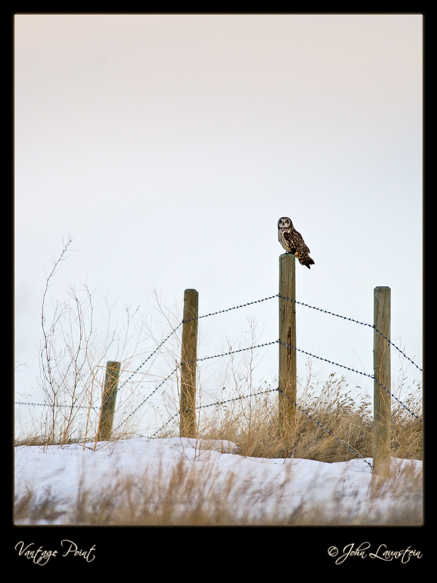 Vantage Point - SEO