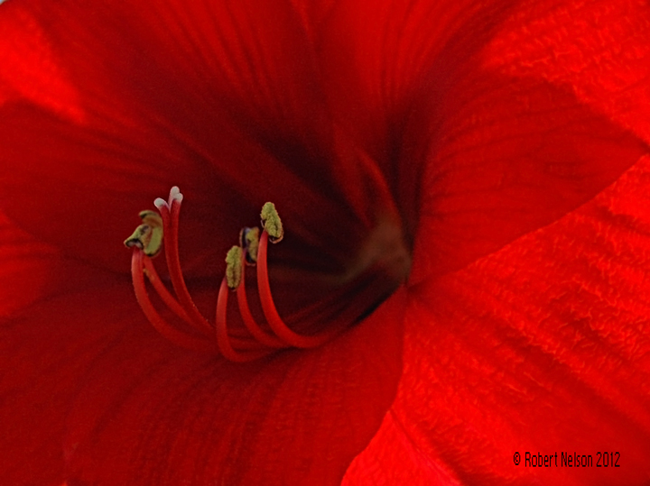 Hot Red