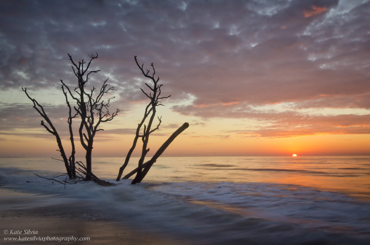 Botany Bay Sunrise