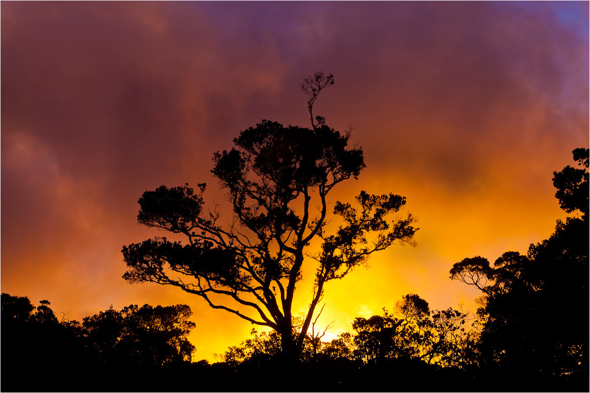 Koke'e Silhouette