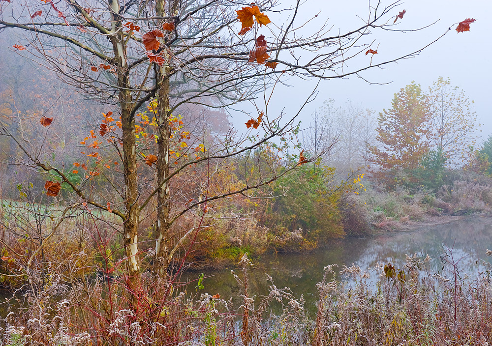 Newport Wetlands