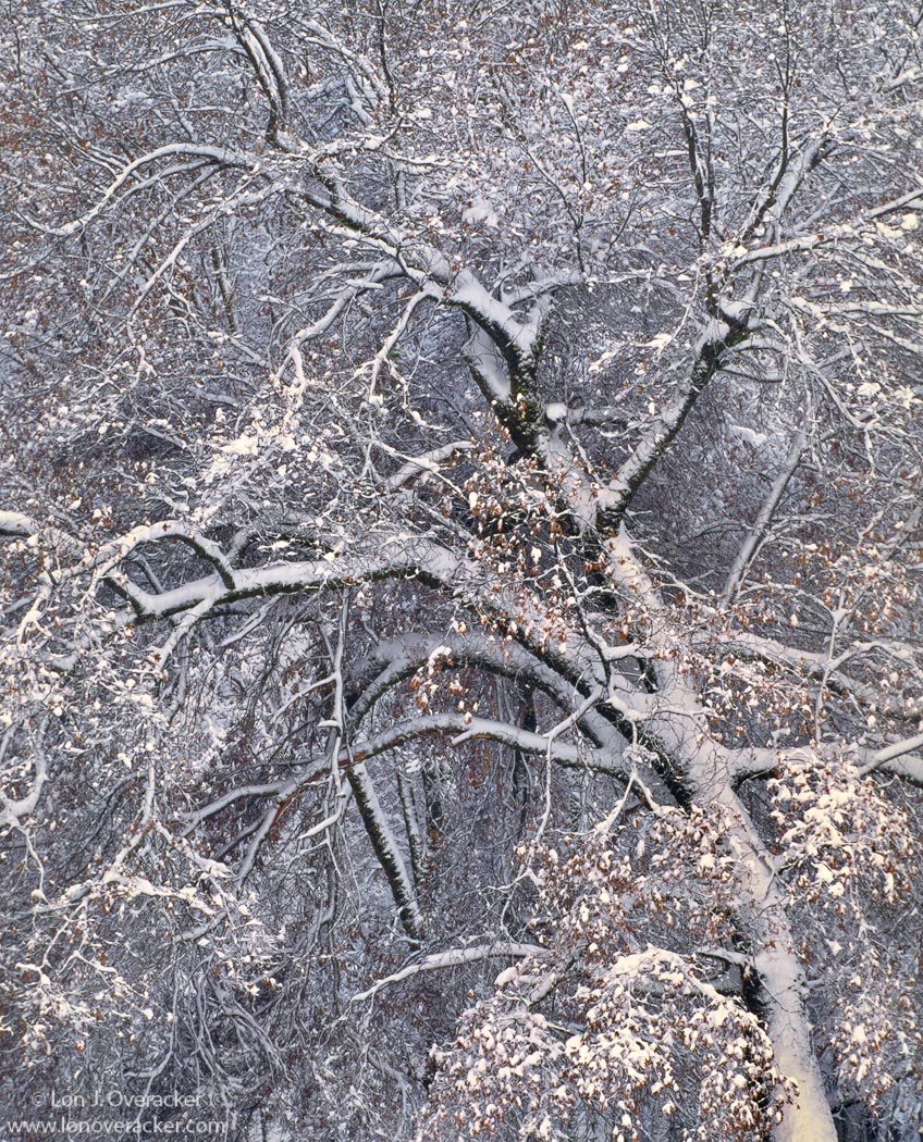 The Core