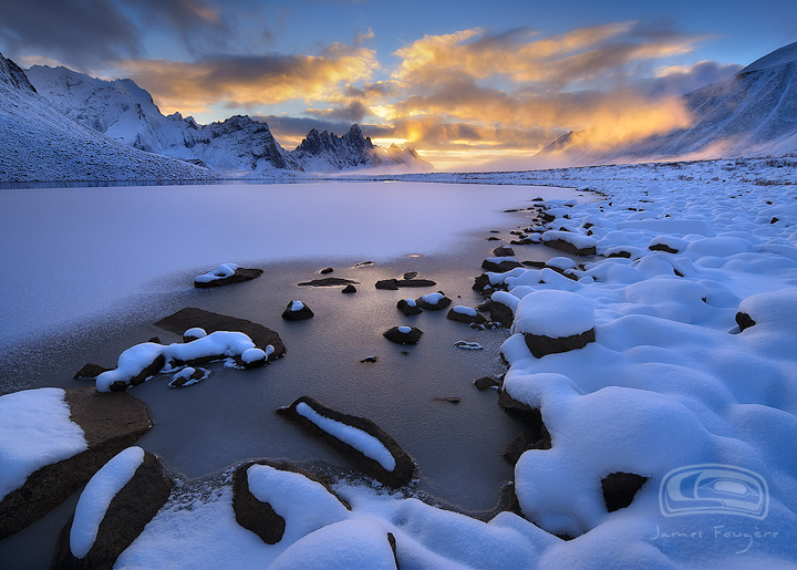 "YUKON GOLD"