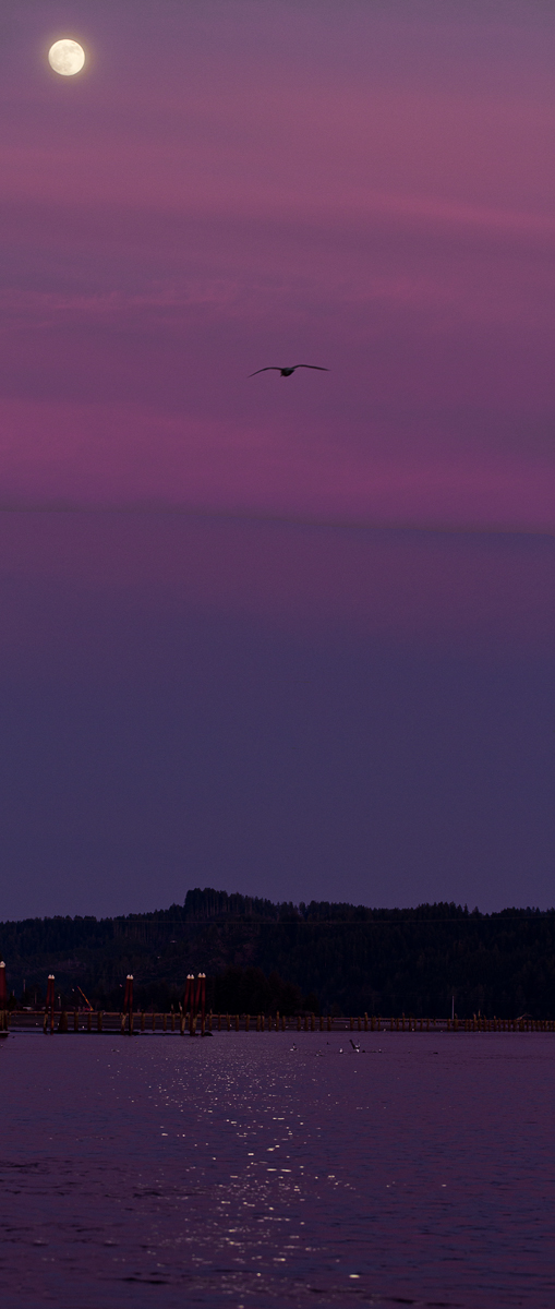 Nightfall