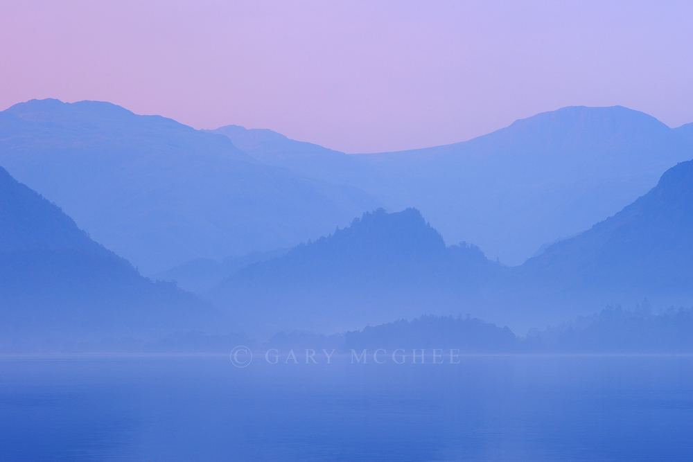 Lavender Blue