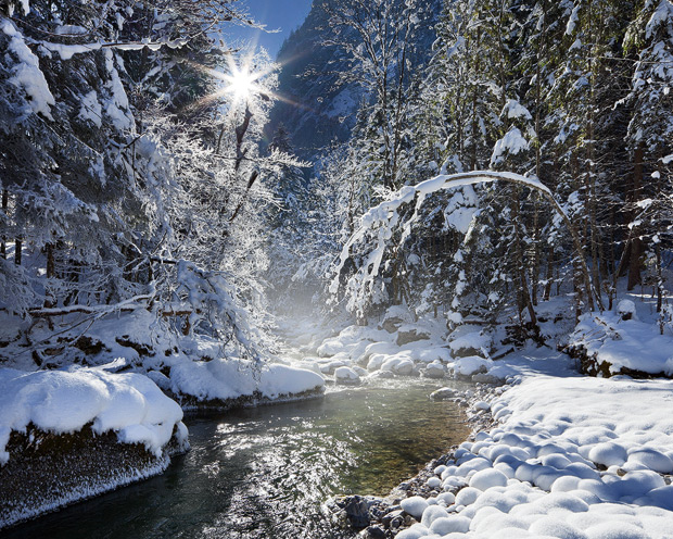 Winter Sun