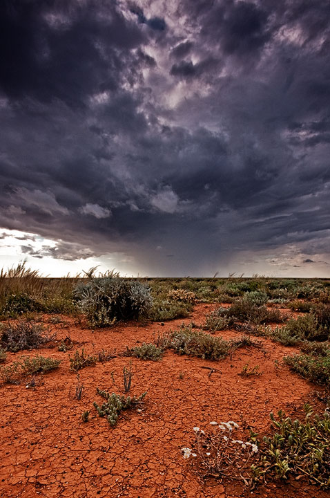 Desert Storm 