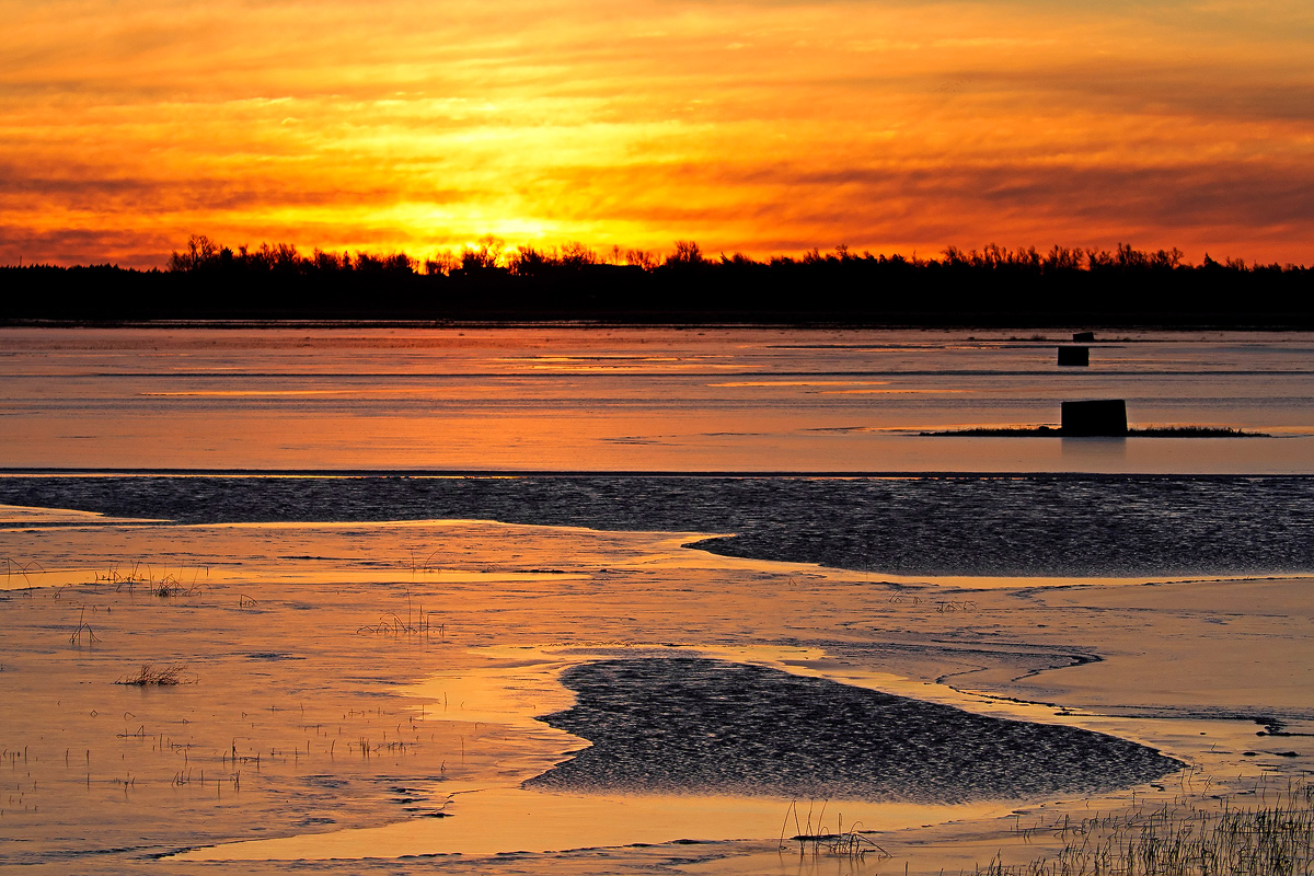 Cheyenne Bottoms sunrise
