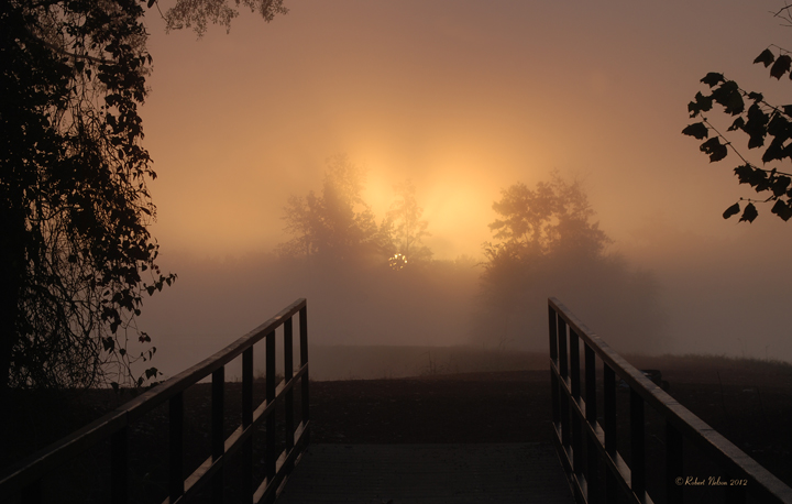 Dawn