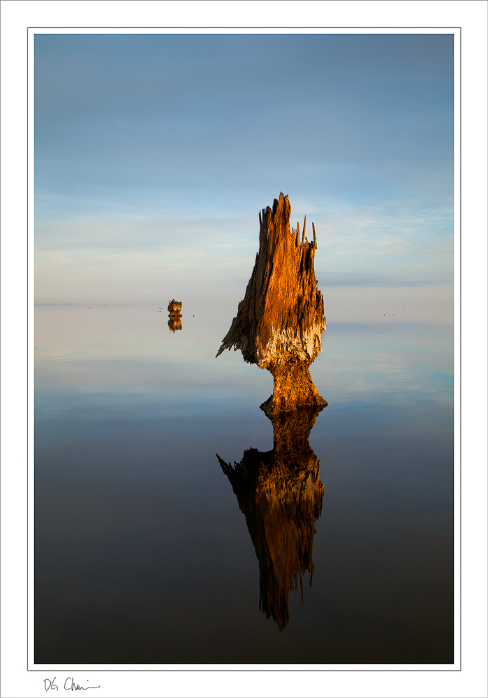Past Reflection