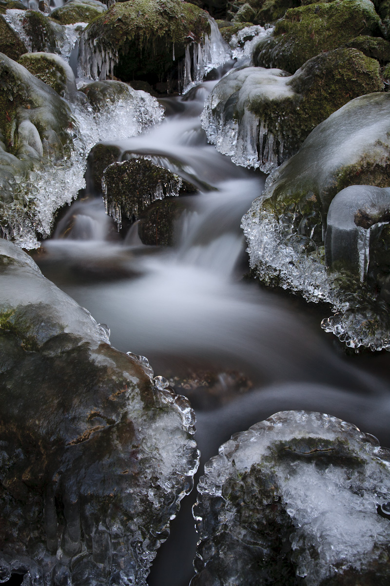 Covered with Ice