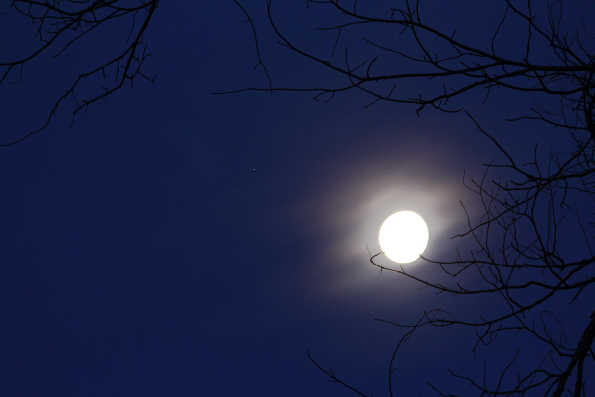 Moon light