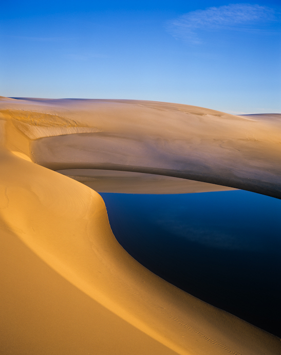Sands of Serenity #518 